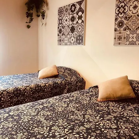 Pansiyon Mojo House Ribeira Grande