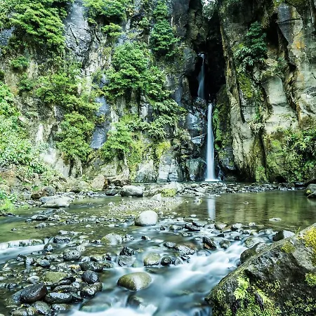 Accommodatie bij particulieren Mojo House *